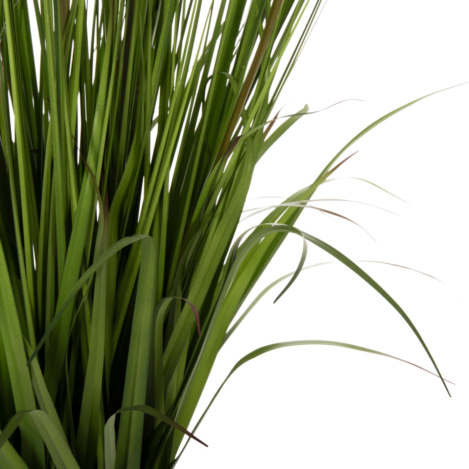 DECORATIVE SYNTHETIC PLANT IN POT HM7999 OPHIUROS 130Hcm.