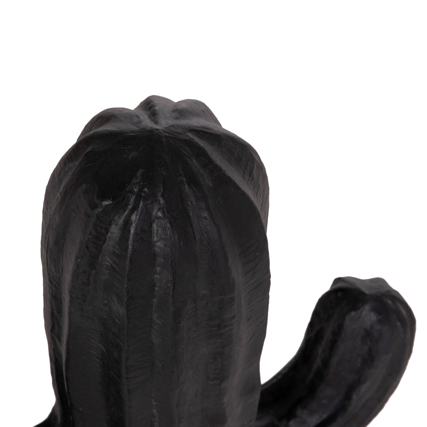 DECORATIVE FLOOR STANDING CACTUS HM4386.01S PLASTER IN BLACK 42x30x74Hcm.