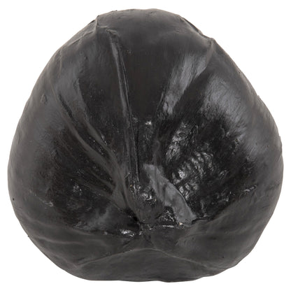 TABLE DECORATION HM4326.02 COCONUT IN BLACK COLOR 20x20x20Hcm.