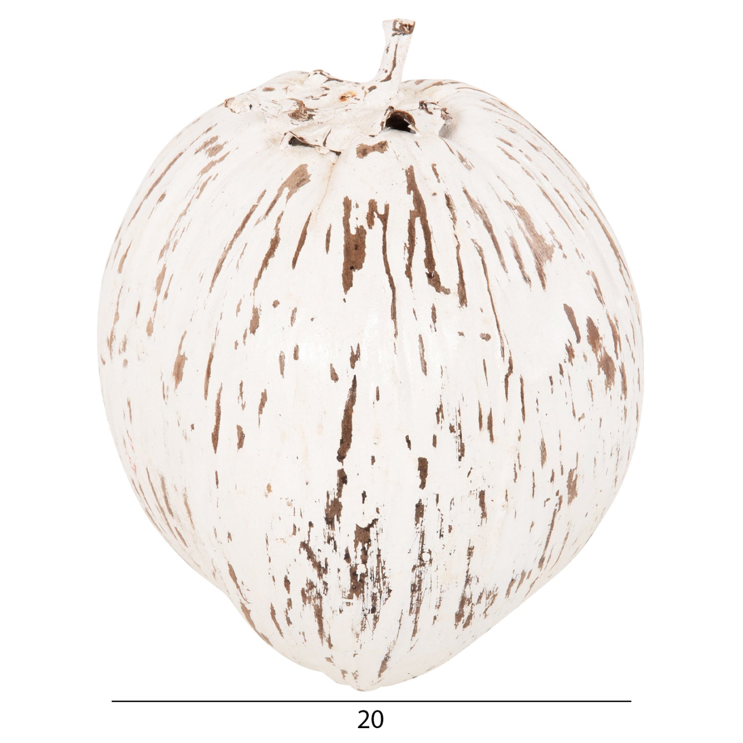 TABLE DECORATION HM4326.05 COCONUT IN WHITE COLOR 20x20x20Hcm.