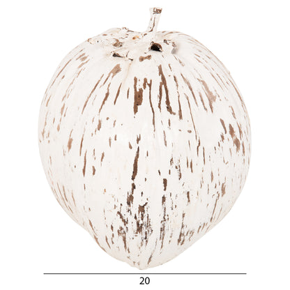 TABLE DECORATION HM4326.05 COCONUT IN WHITE COLOR 20x20x20Hcm.