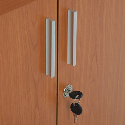 Professional office cabinet in cherry color HM2053.13 80x40x82 cm.