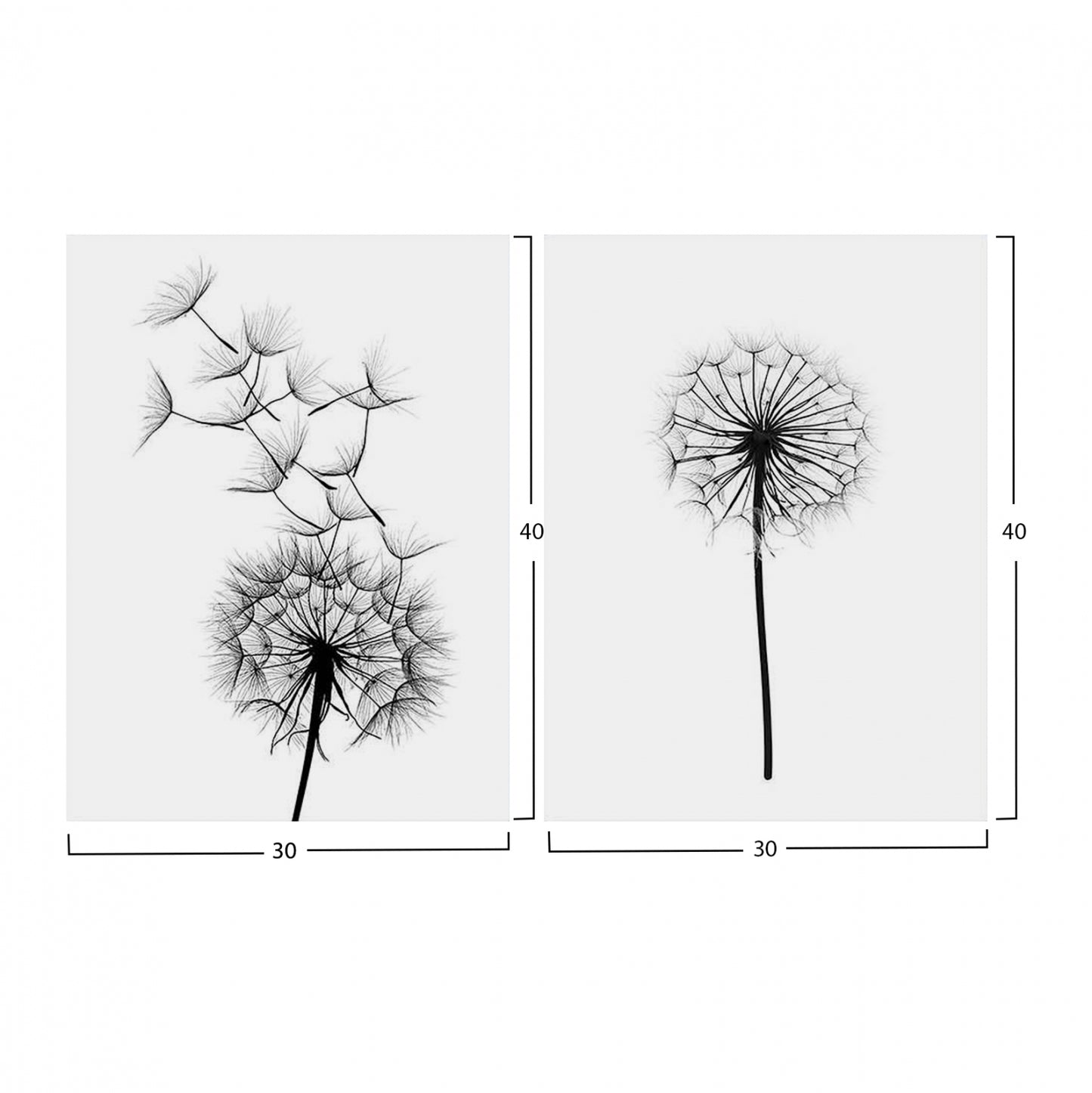 Canvas 2 piece set MDF Dandelion HM7203.02 60x40x2,7  cm.