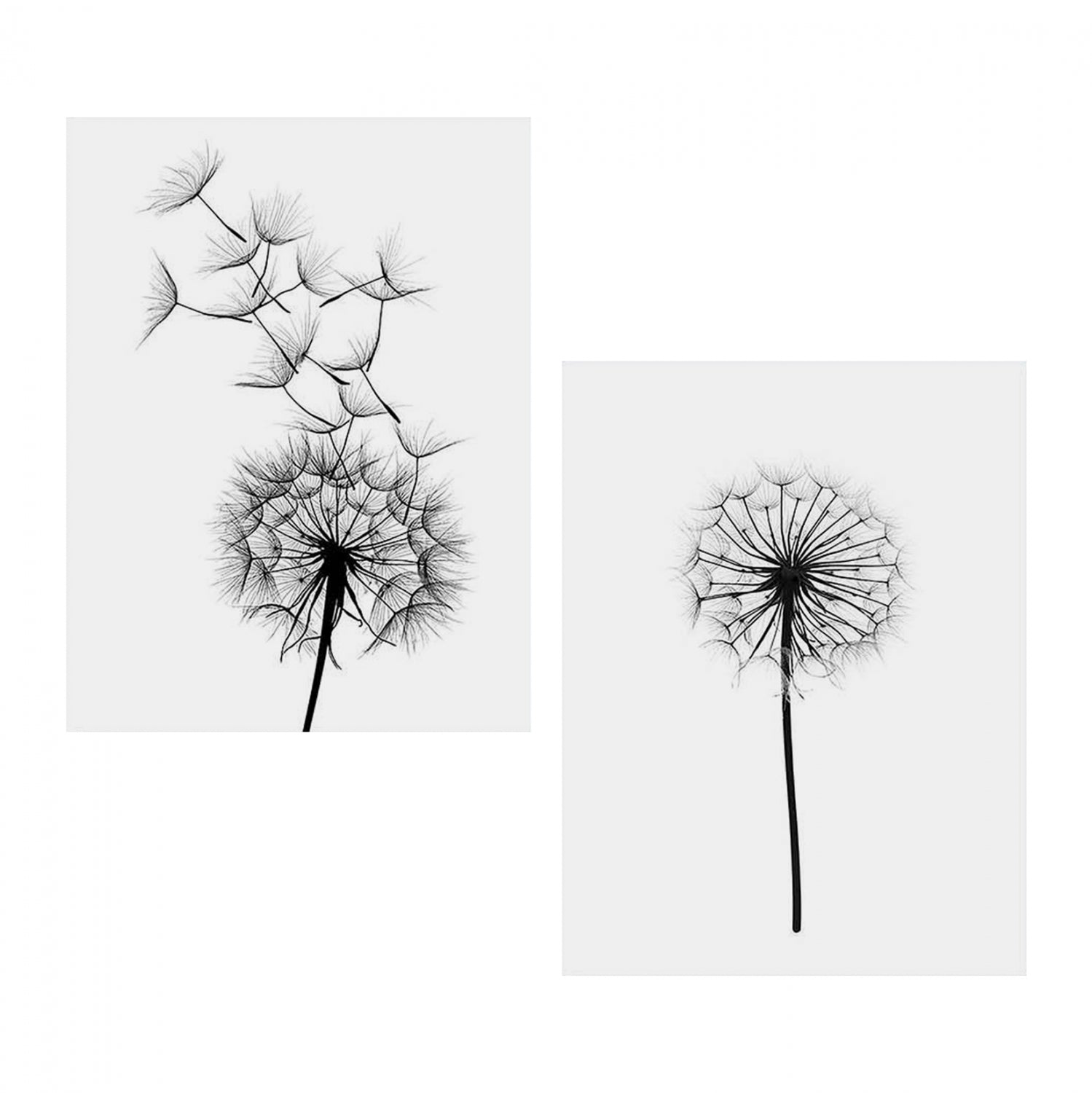Canvas 2 piece set MDF Dandelion HM7203.02 60x40x2,7  cm.