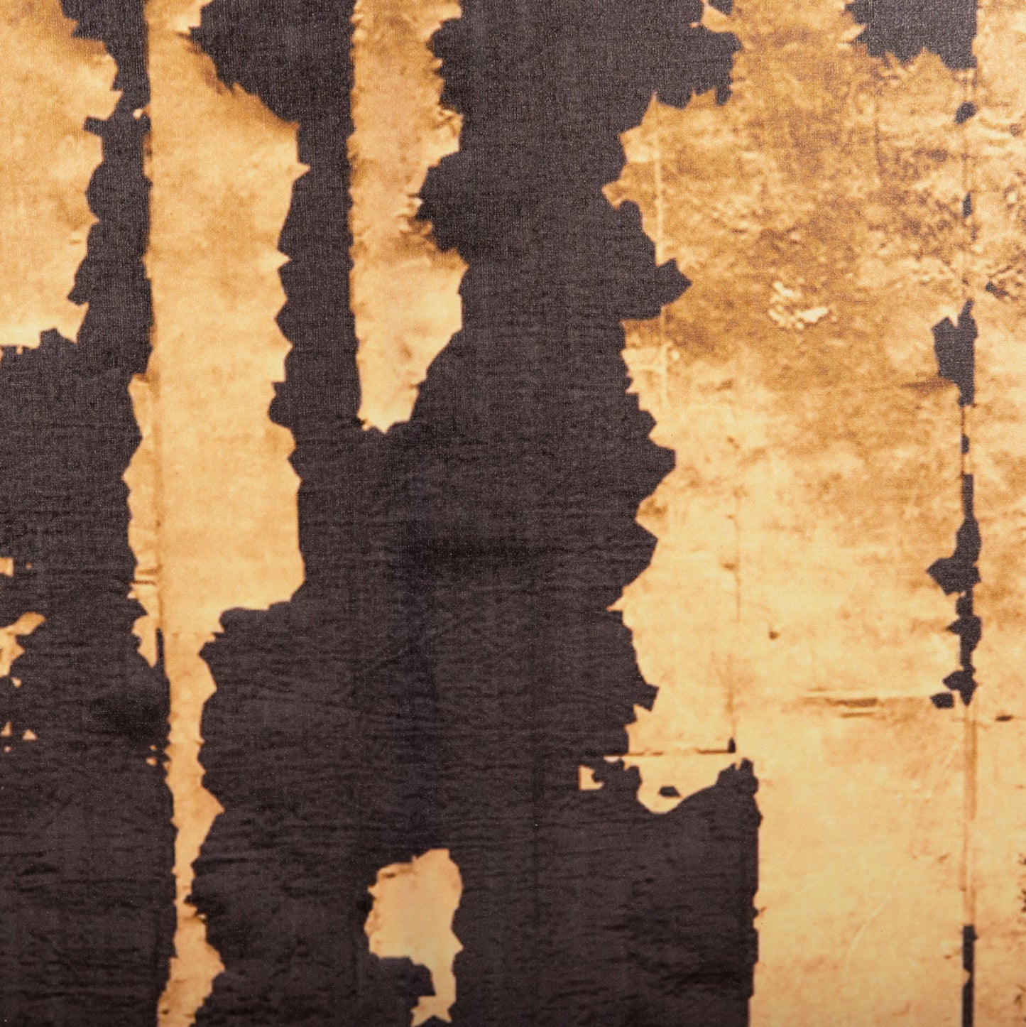 WALL PAINTING SERIES GOBI HM4782 PRINTED CANVAS 98x2,5(thickness)x68Hcm.