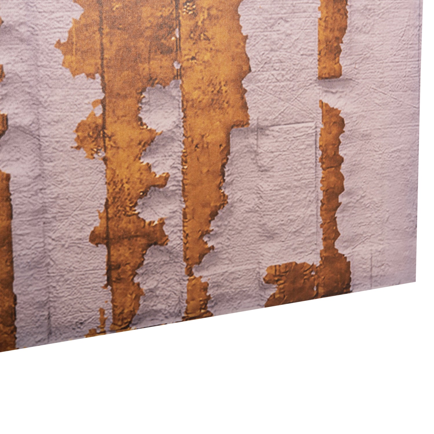 WALL PAINTING SERIES GOBI HM4784 PRINTED CANVAS 98x2,5(thickness)x68Hcm.