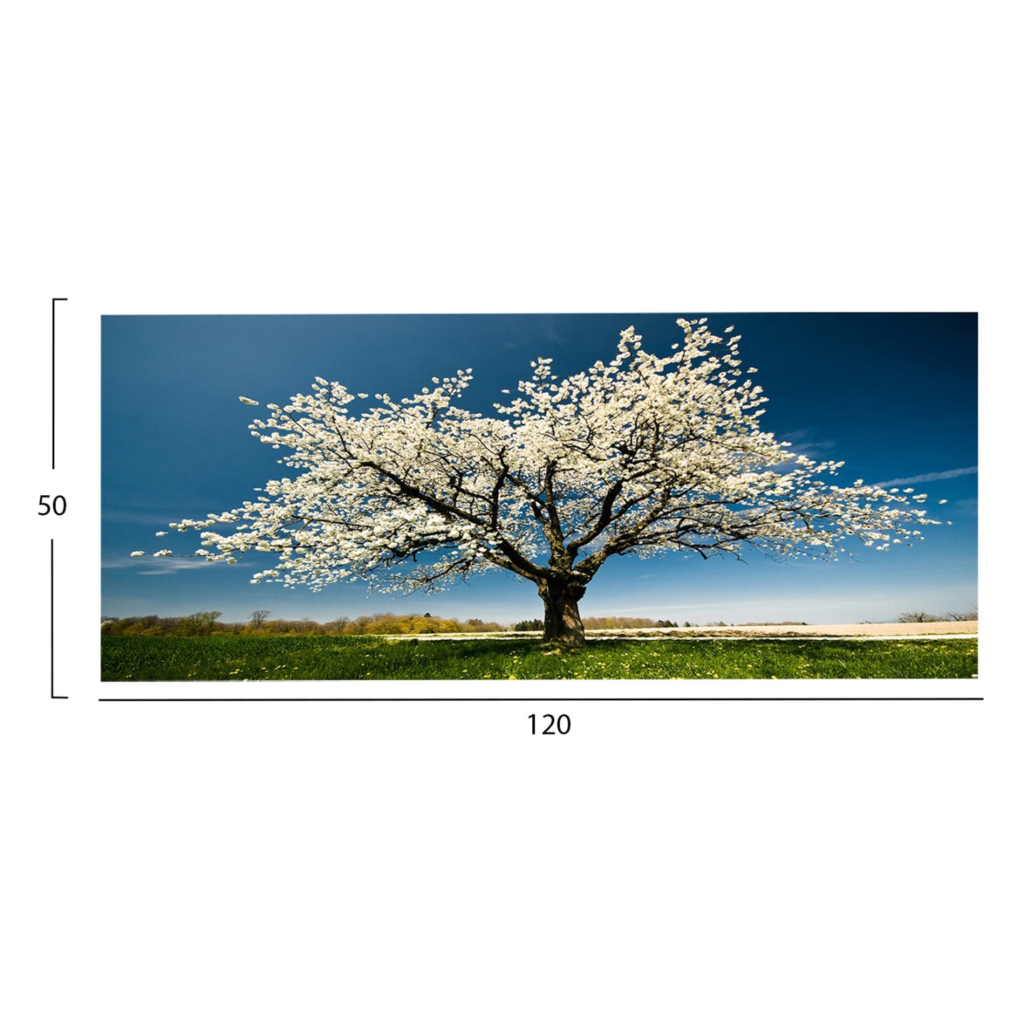 WALL PAINTING SERIES GOBI HM4792 PRINTED CANVAS 120x3(thickness)x50Hcm.